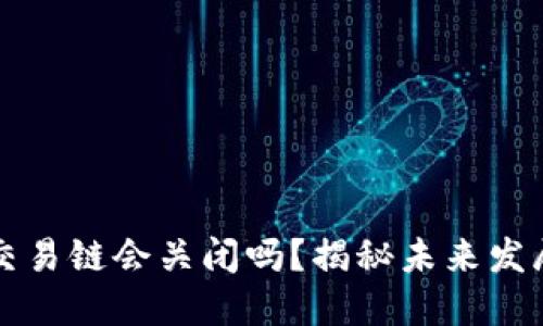 以太坊钱包交易链会关闭吗？揭秘未来发展与安全隐患