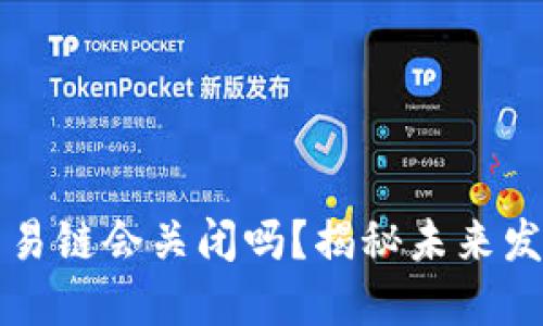 以太坊钱包交易链会关闭吗？揭秘未来发展与安全隐患