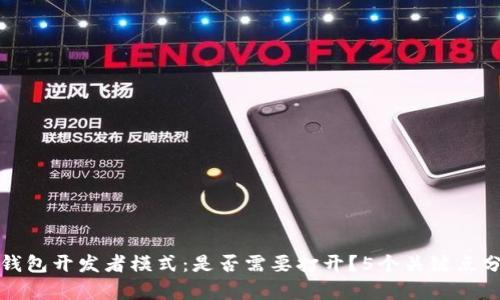 TP钱包开发者模式：是否需要打开？5个关键点分析