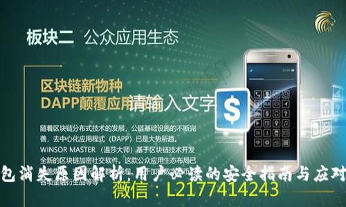 TP钱包消失原因解析：用户必读的安全指南与应对措施