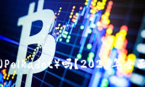 TP钱包支持波卡（Polkadot）吗？2023年全面解读与使用指南