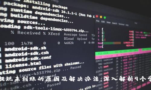 TP钱包提现未到账的原因及解决办法：深入解析9个常见问题