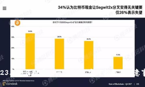 2023年如何批量注册TP钱包：实用指南与注意事项