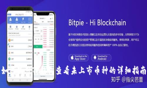 如何使用TP钱包查看未上市币种的详细指南