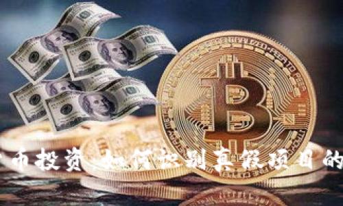2023年数字货币投资：如何识别真假项目的10个实用技巧