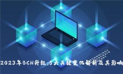 2023年BCH升级：5大关键变化解析及其影响