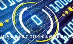 TP钱包最后交易不了？5个常见问题和解决方法