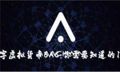2023年数字虚拟货币BAC：你需要知道的10个关键点