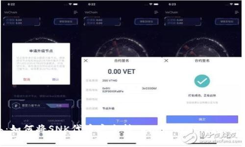 2023年：如何将SNK代币安全转入以太坊冷钱包的完整指南